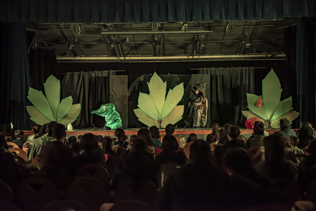 Agrandir l'image, fenêtre modale