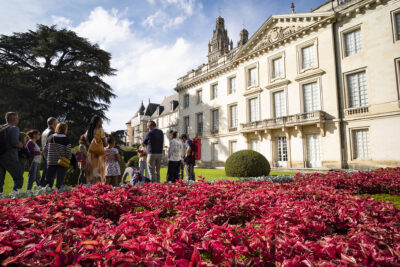 Agrandir l'image 1 sur 4, fenêtre modale