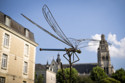 Agrandir l'image 8 sur 24, fenêtre modale