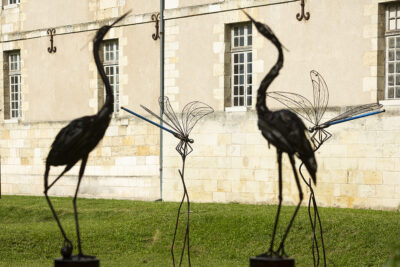 Agrandir l'image 10 sur 24, fenêtre modale