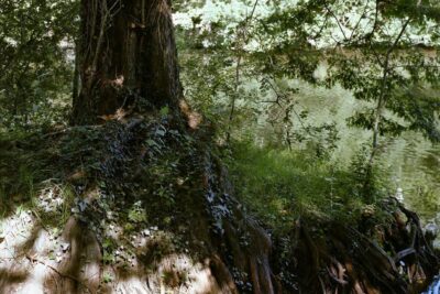 Enlarge image 6 on 6, modal window