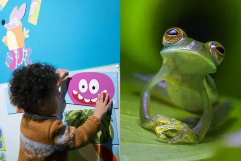 Agrandir l'image, fenêtre modale