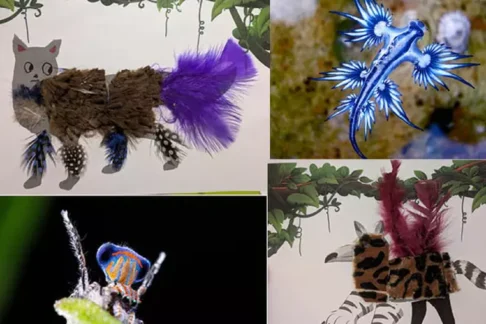 Agrandir l'image, fenêtre modale