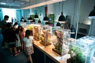 Agrandir l'image, fenêtre modale