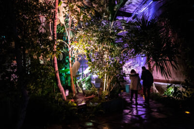 Agrandir l'image 10 sur 10, fenêtre modale