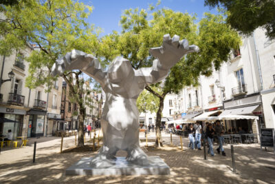 Agrandir l'image 8 sur 8, fenêtre modale