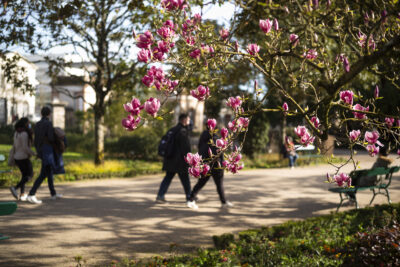 Agrandir l'image 1 sur 10, fenêtre modale