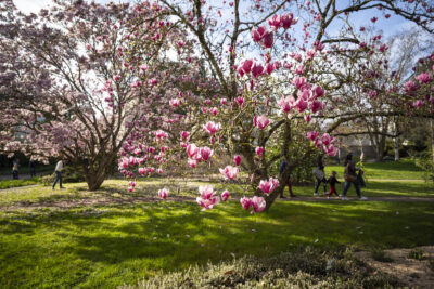 Agrandir l'image 3 sur 10, fenêtre modale