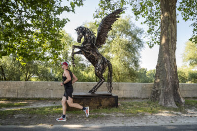 Agrandir l'image 3 sur 8, fenêtre modale