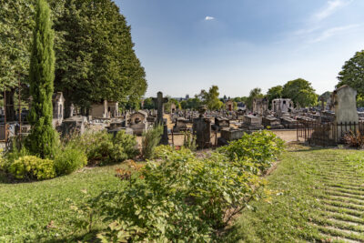 Agrandir l'image 8 sur 8, fenêtre modale