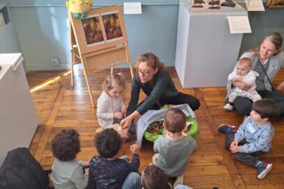 Agrandir l'image, fenêtre modale