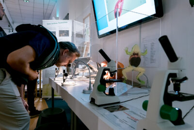 Agrandir l'image 11 sur 11, fenêtre modale