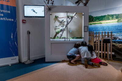 Agrandir l'image 2 sur 11, fenêtre modale