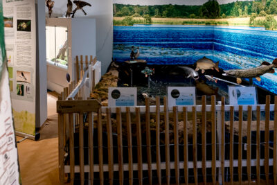 Agrandir l'image 1 sur 11, fenêtre modale