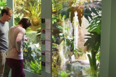 Agrandir l'image 6 sur 8, fenêtre modale