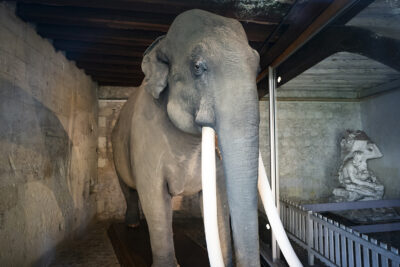 Agrandir l'image 2 sur 7, fenêtre modale