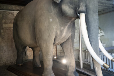 Agrandir l'image 3 sur 7, fenêtre modale