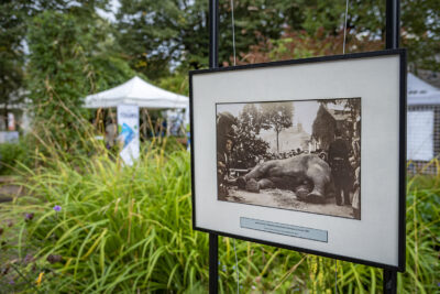 Agrandir l'image 7 sur 7, fenêtre modale