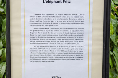 Agrandir l'image 4 sur 7, fenêtre modale