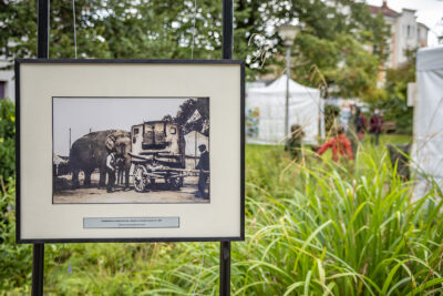 Agrandir l'image 5 sur 7, fenêtre modale