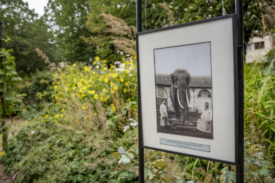 Agrandir l'image 6 sur 7, fenêtre modale