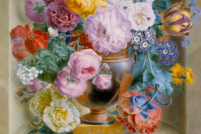 Agrandir l'image, fenêtre modale