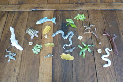 Agrandir l'image, fenêtre modale