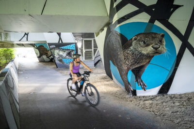 Fresque Scaf et Reso  - Agrandir l'image 1 sur 16, fenêtre modale