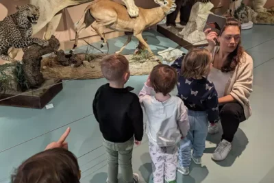 Agrandir l'image 1 sur 4, fenêtre modale