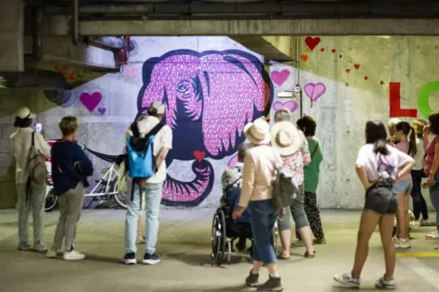 Agrandir l'image, fenêtre modale