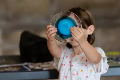 Agrandir l'image, fenêtre modale