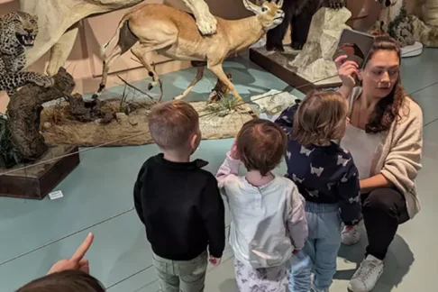 Agrandir l'image, fenêtre modale