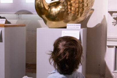 Agrandir l'image, fenêtre modale